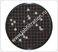14086-47-N Питательные подложки (ПКП), среда Malt Extract, фильтры 47 мм, 0,8 мкм, 100 шт/упак.
