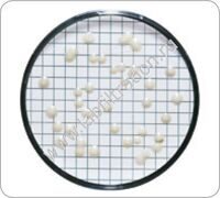 14089-47-N Питательные подложки (ПКП), среда Wallerstein Nutrient | WL Nutrient, фильтры 47 мм, 0,45 мкм, 100 шт/упак.